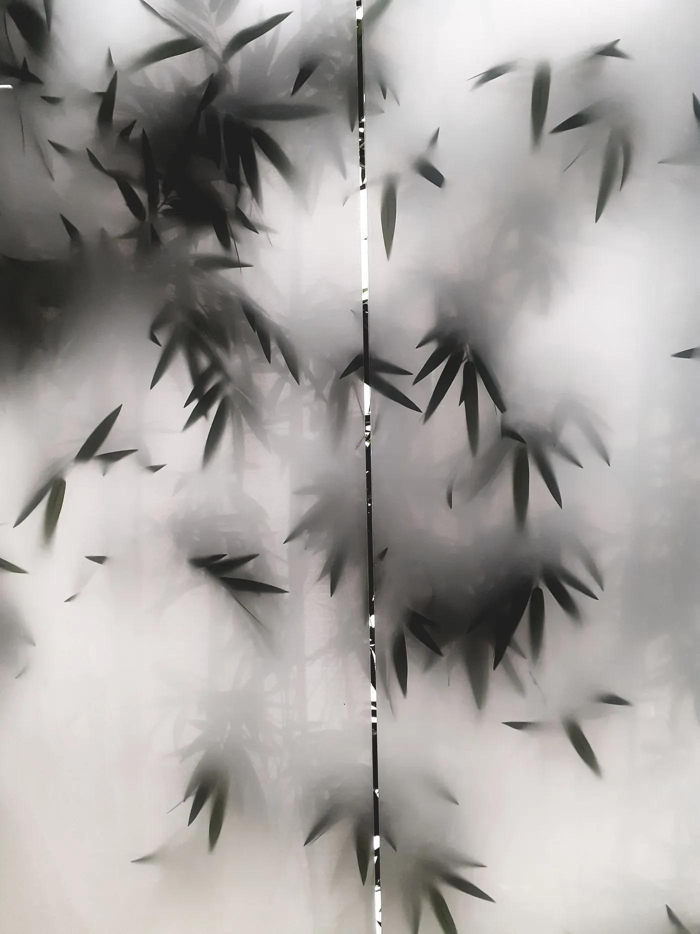 Foliage silhouettes diffused behind satin frosted glass showing the privacy effect